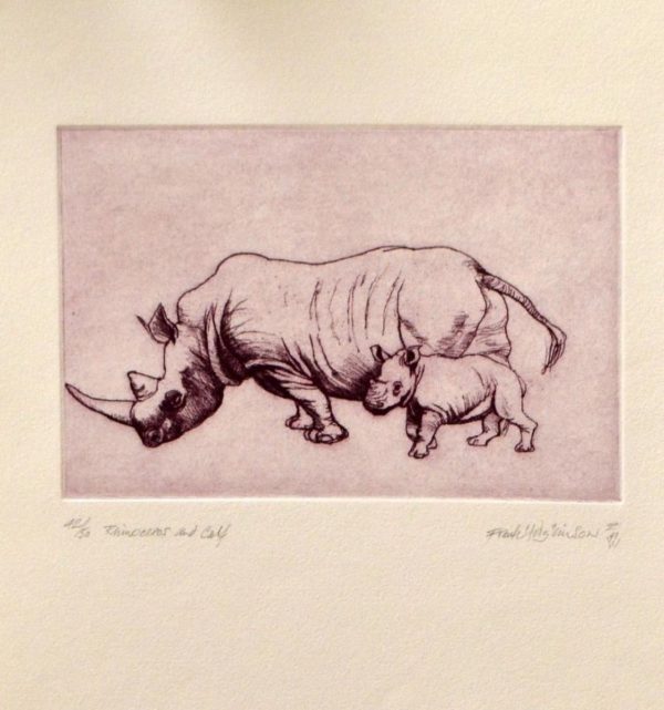 Rhino And Calf